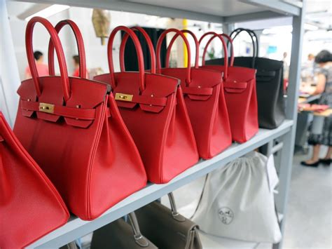Ophidia Mini Bag 772314-1.jpg